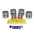 SUBCONJUNTO PALIO SIENA DUCATO T/DIESEL 1.7    STD